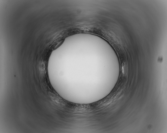 X0000099441347200805301442
