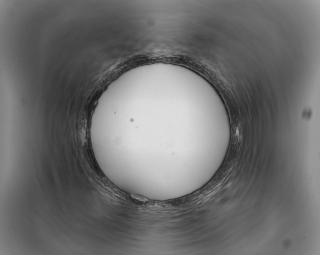 X0000099441348200805301442
