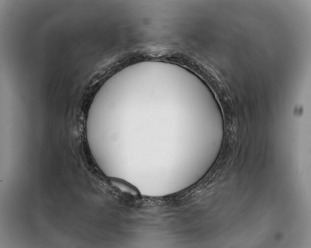 X0000099441349200805301442