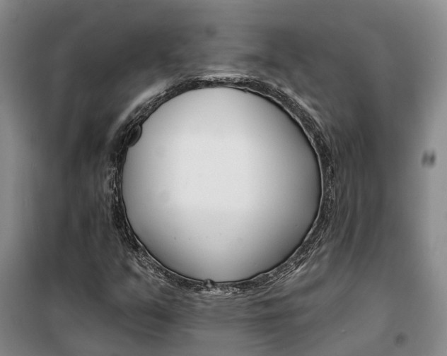 X0000099441351200805301442