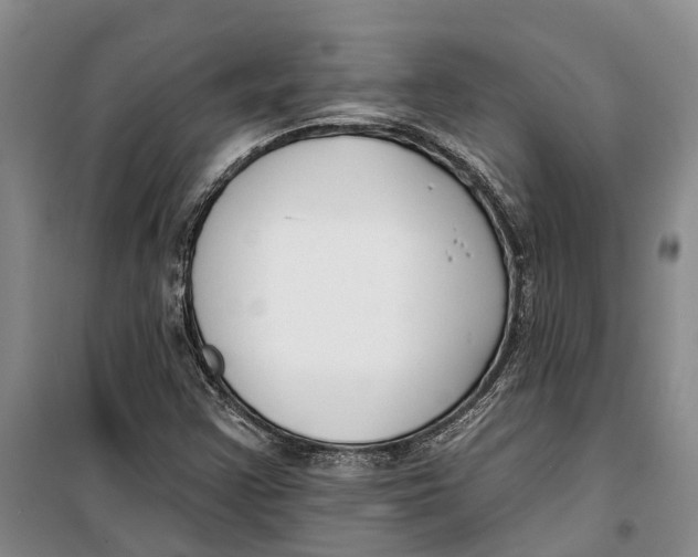 X0000099441355200805301442