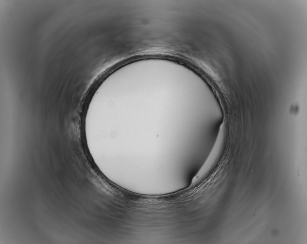 X0000099441356200805301442