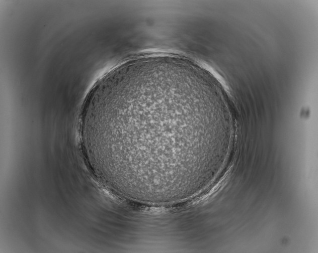 X0000099441357200805301442