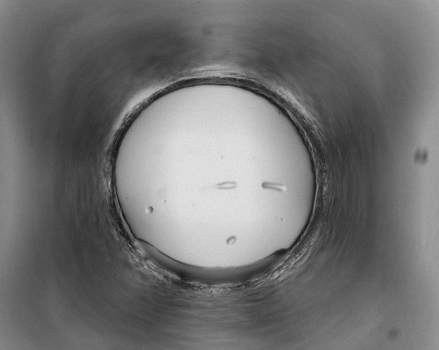 X0000099441358200805301442