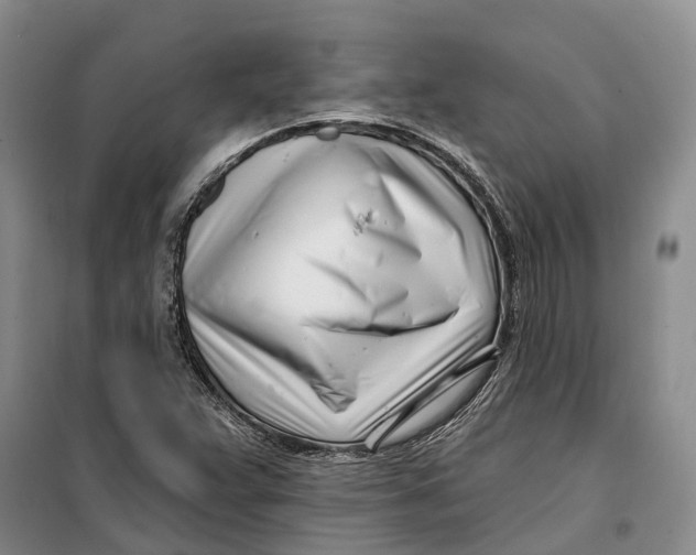 X0000099441359200805301442