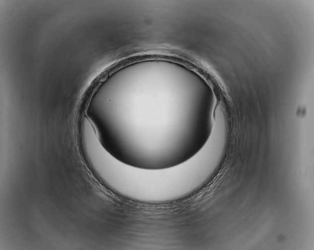 X0000099441360200805301442