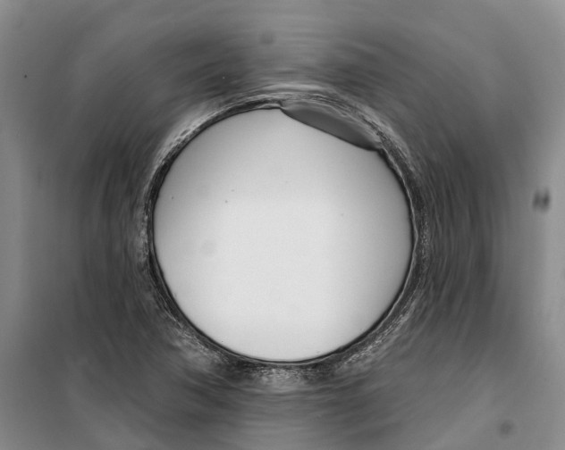 X0000099441362200805301442