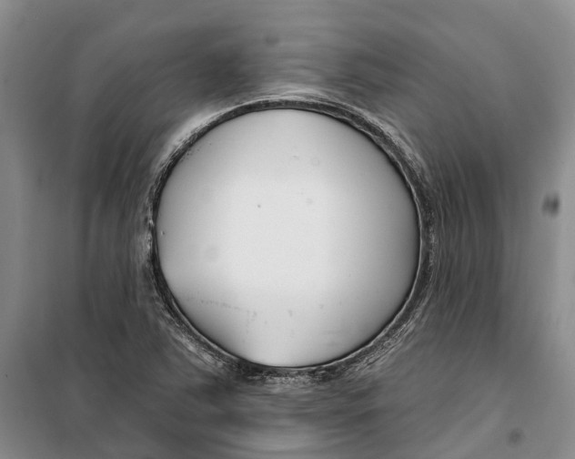 X0000099441363200805301442