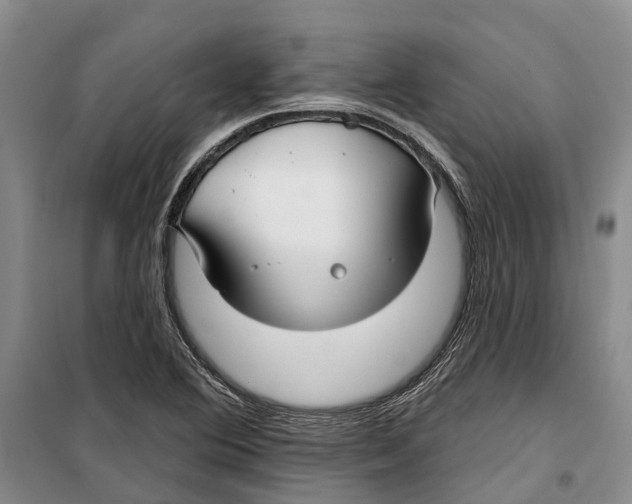 X0000099441364200805301442
