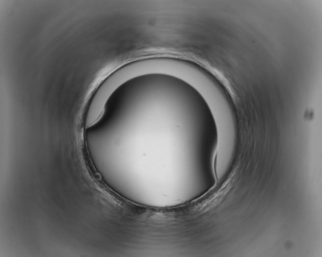 X0000099441365200805301442