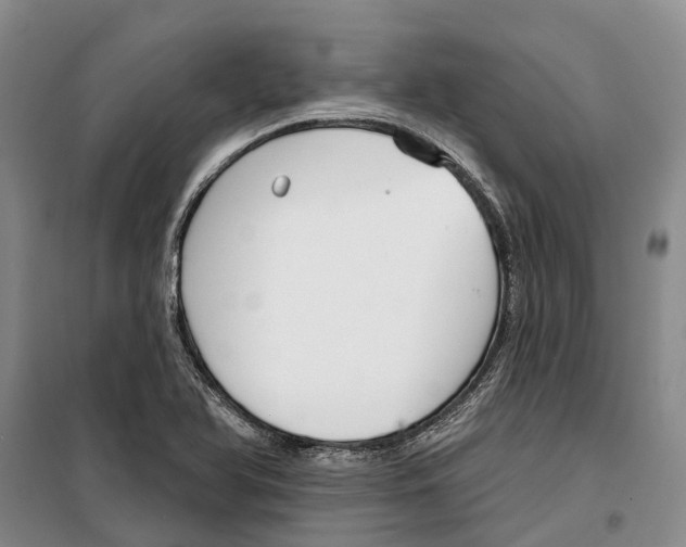 X0000099441366200805301442