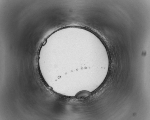 X0000099441367200805301442