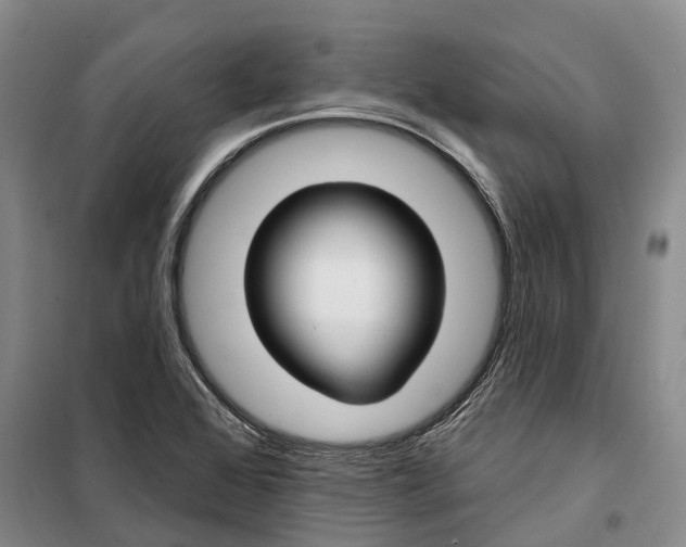X0000099441368200805301442