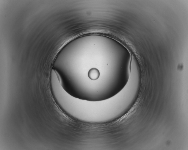 X0000099441369200805301442