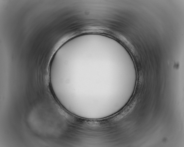X0000099441370200805301442