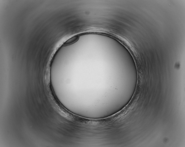 X0000099441371200805301442
