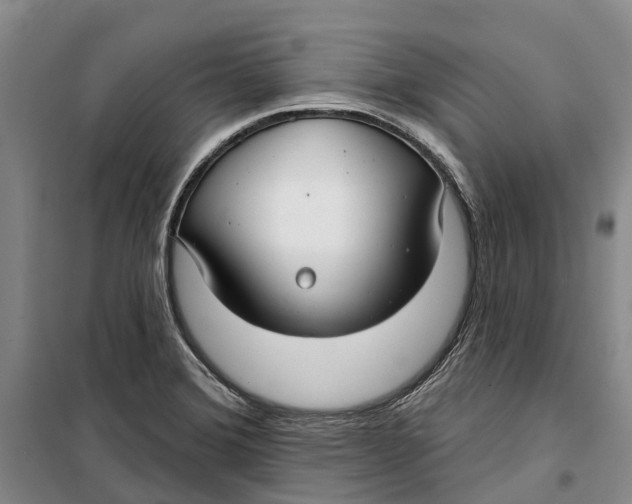 X0000099441372200805301442