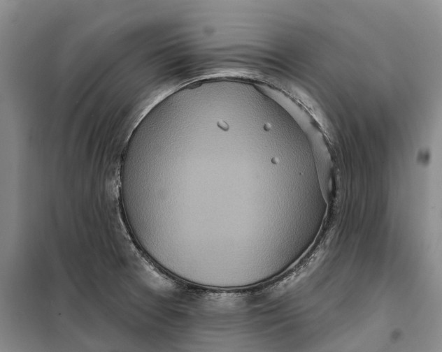 X0000099441377200805301441