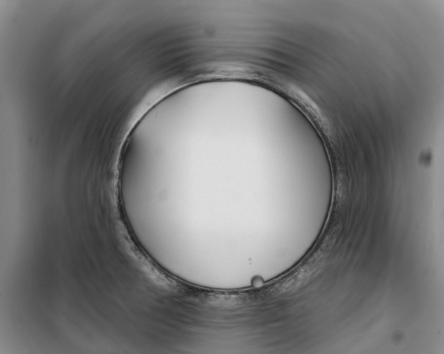 X0000099441378200805301441