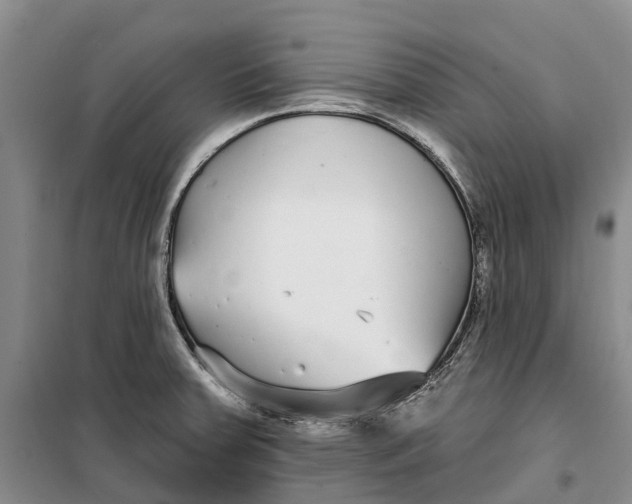 X0000099441379200805301441