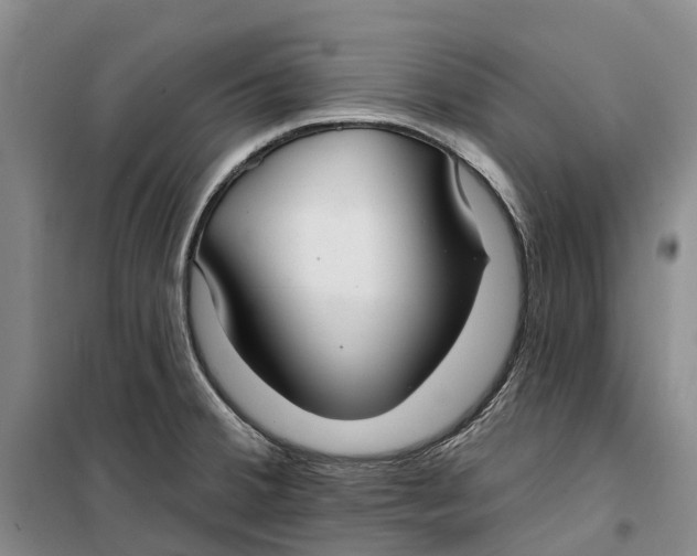 X0000099441380200805301441