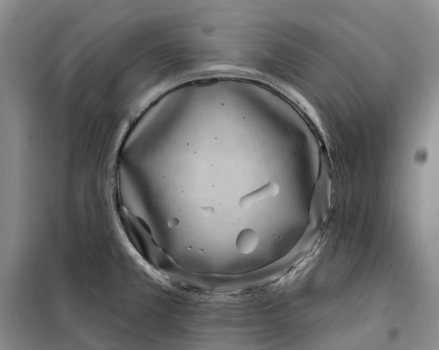 X0000099441381200805301441