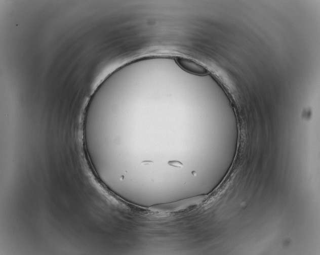 X0000099441382200805301441