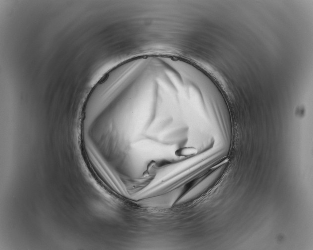 X0000099441383200805301441