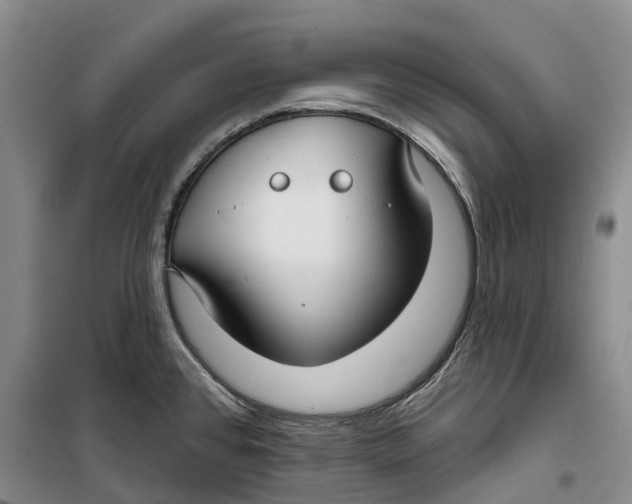 X0000099441384200805301441