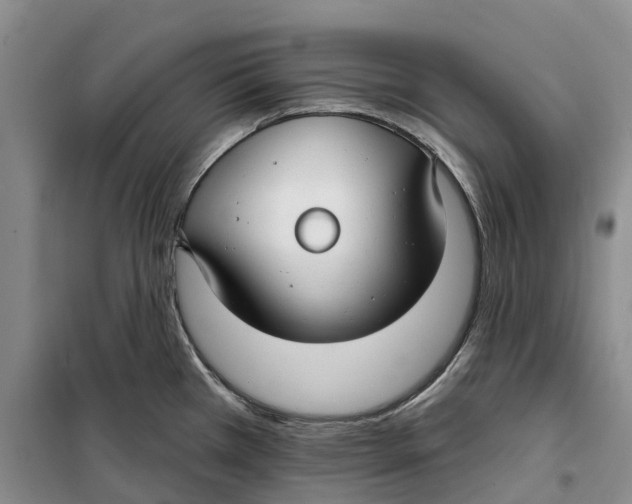 X0000099441385200805301441