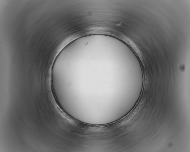 X0000099441386200805301441