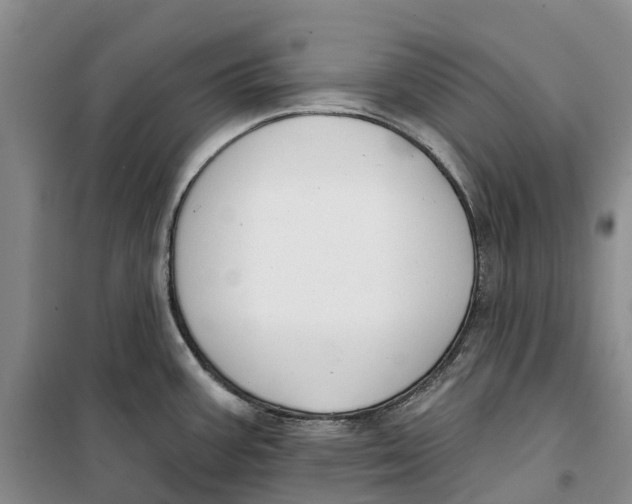 X0000099441387200805301441
