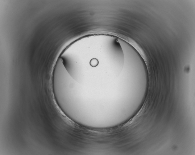 X0000099441388200805301441