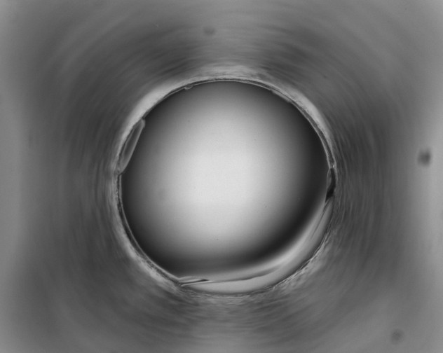 X0000099441389200805301441