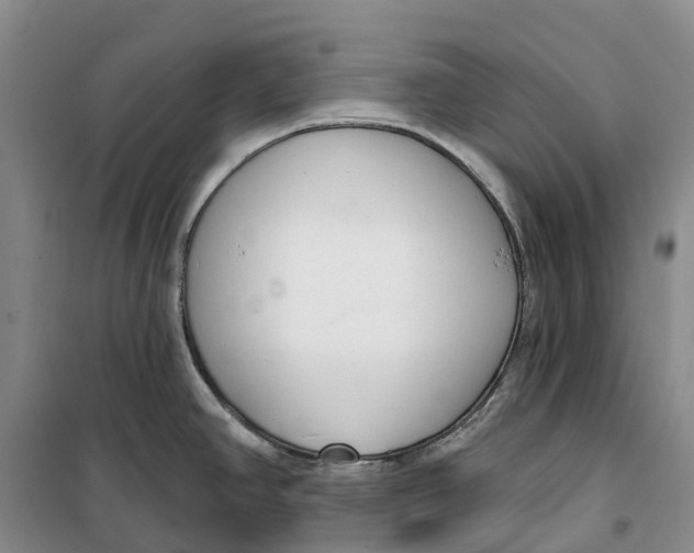 X0000099441390200805301441
