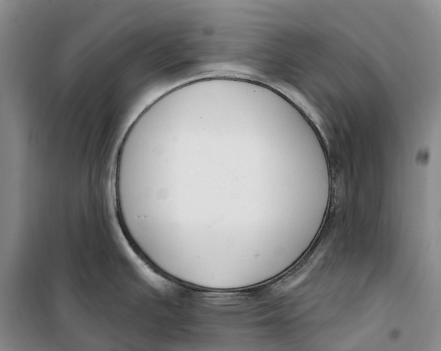 X0000099441391200805301441