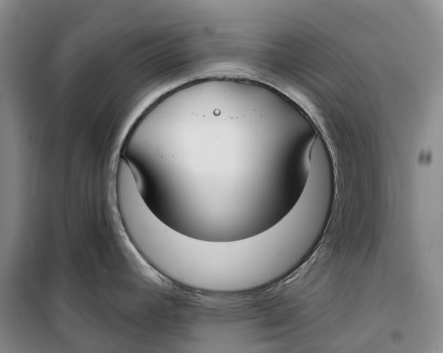 X0000099441392200805301441