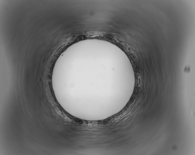 X0000099441393200805301440