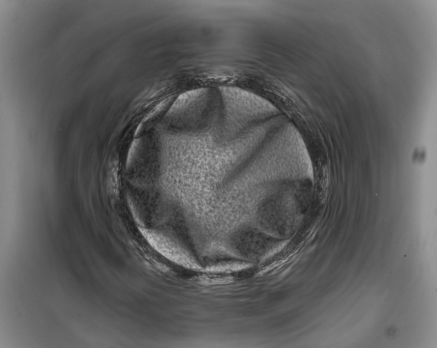 X0000099441394200805301440