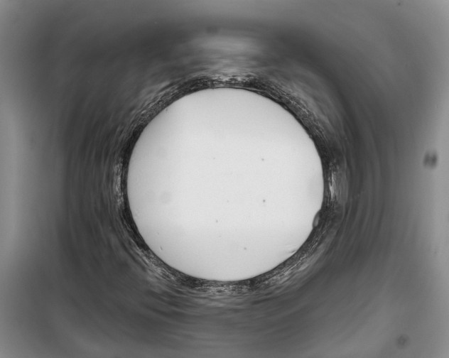 X0000099441396200805301440