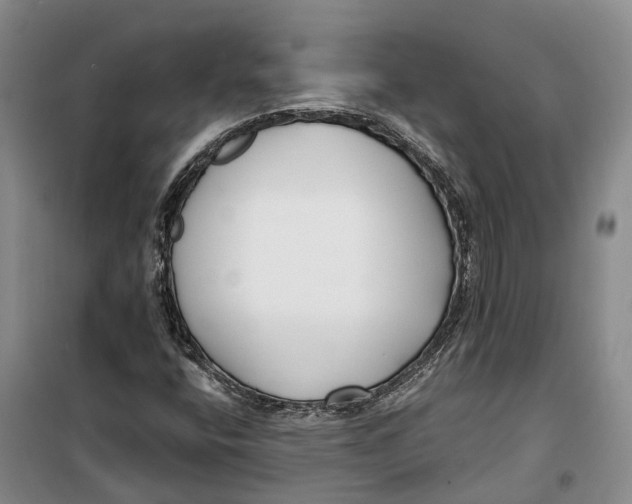 X0000099441400200805301441