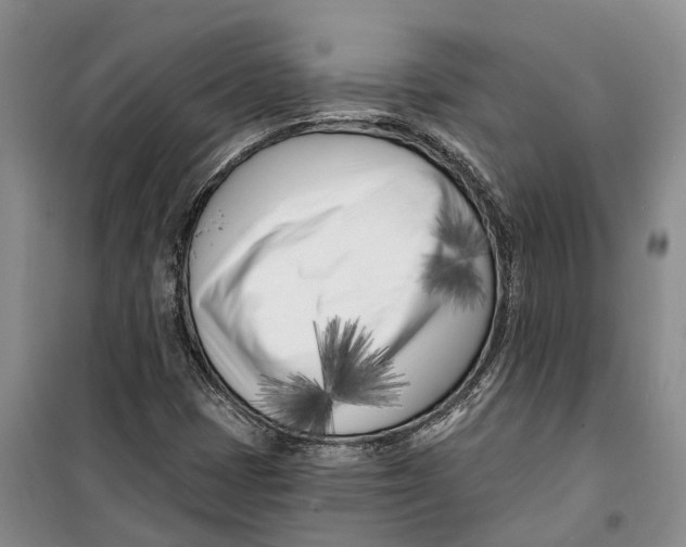 X0000099441401200805301441