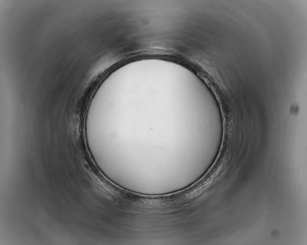 X0000099441402200805301441