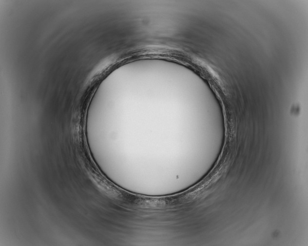 X0000099441403200805301441