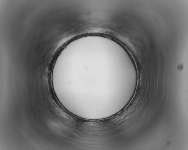 X0000099441404200805301441