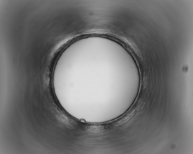 X0000099441406200805301441