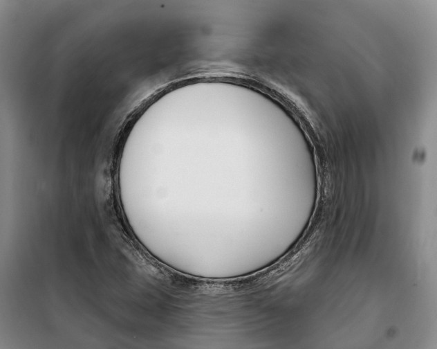 X0000099441407200805301441