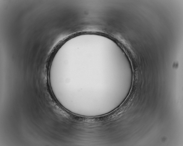X0000099441408200805301441