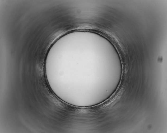 X0000099441409200805301441