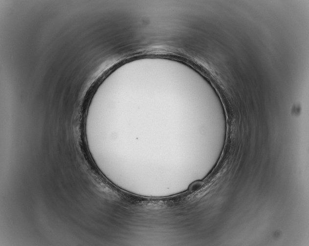 X0000099441410200805301441